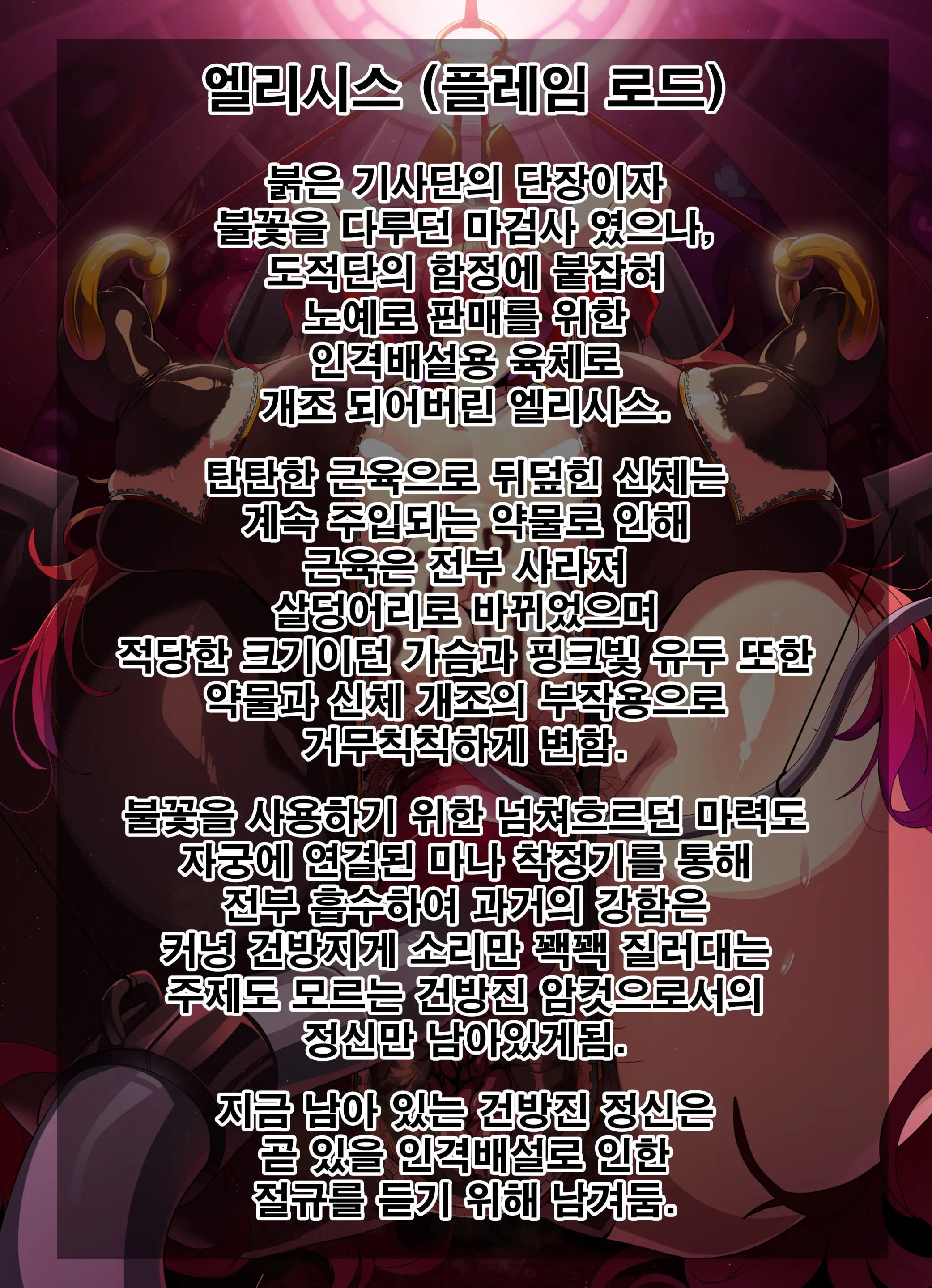 ELSWORD Elesis CG
